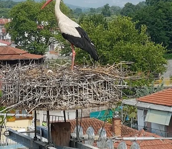 Efstathiou Mihail And